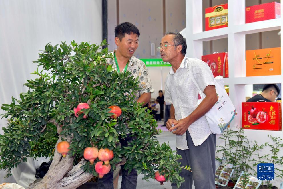 白菜老虎机送体验金